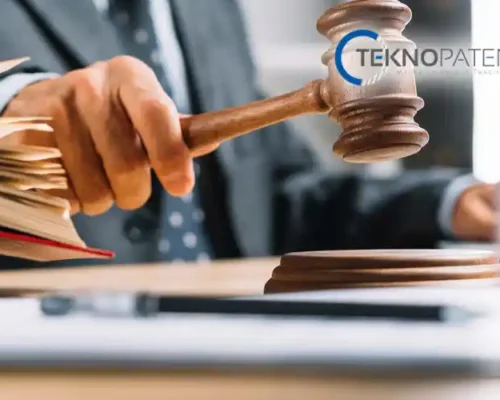 Faydalı Model Hakkına Tecavüz Durumları