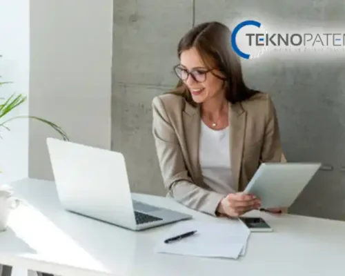 Faydalı Model Vekili