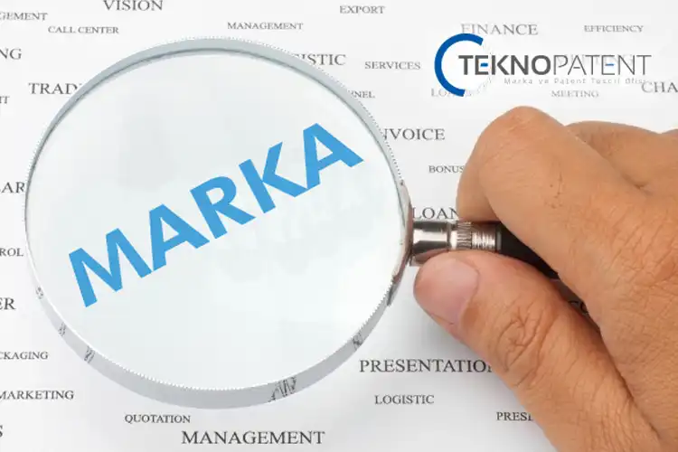 Marka Araştırma ve­ Sorgulama