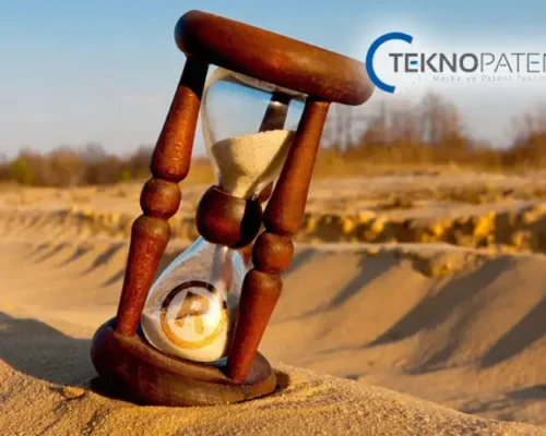 Marka Yenileme İşlemleri