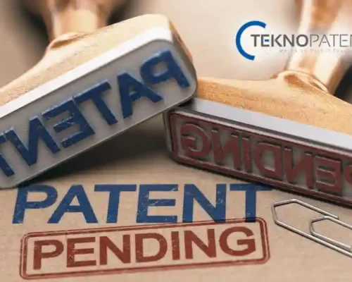 Patent Başvurusu