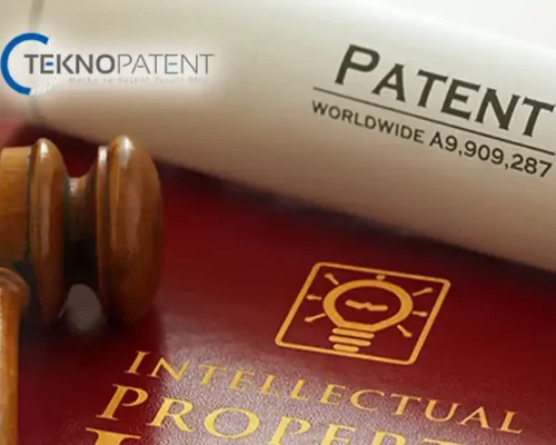 Patent Hakkına Tecavüz Durumları
