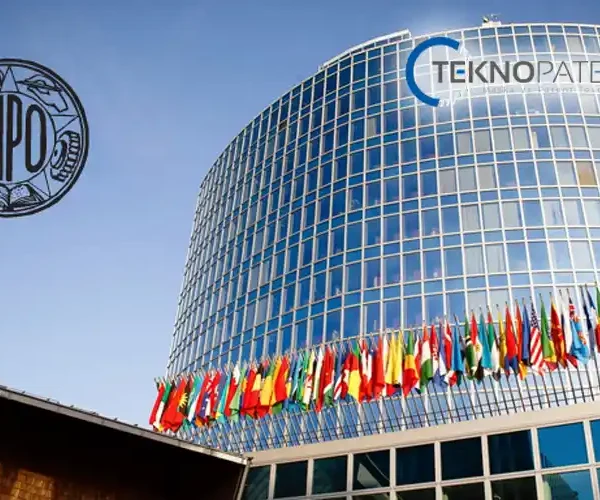 Madrid Protokolü Marka Tescili WIPO