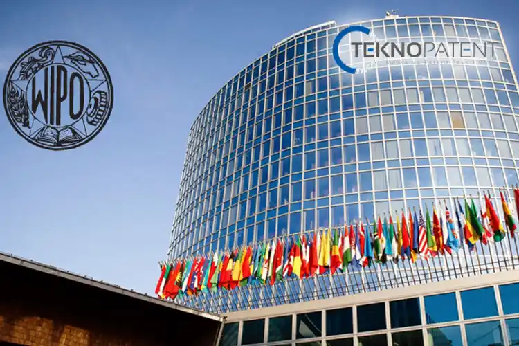 Madrid Protokolü Marka Tescili WIPO